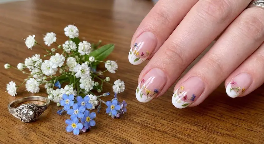 16wed - PolishedAndPrettyNails.com Pressed flower French nails with tiny dried flowers beside baby's breath and forget-me-nots