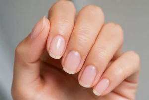Medium Micro French
